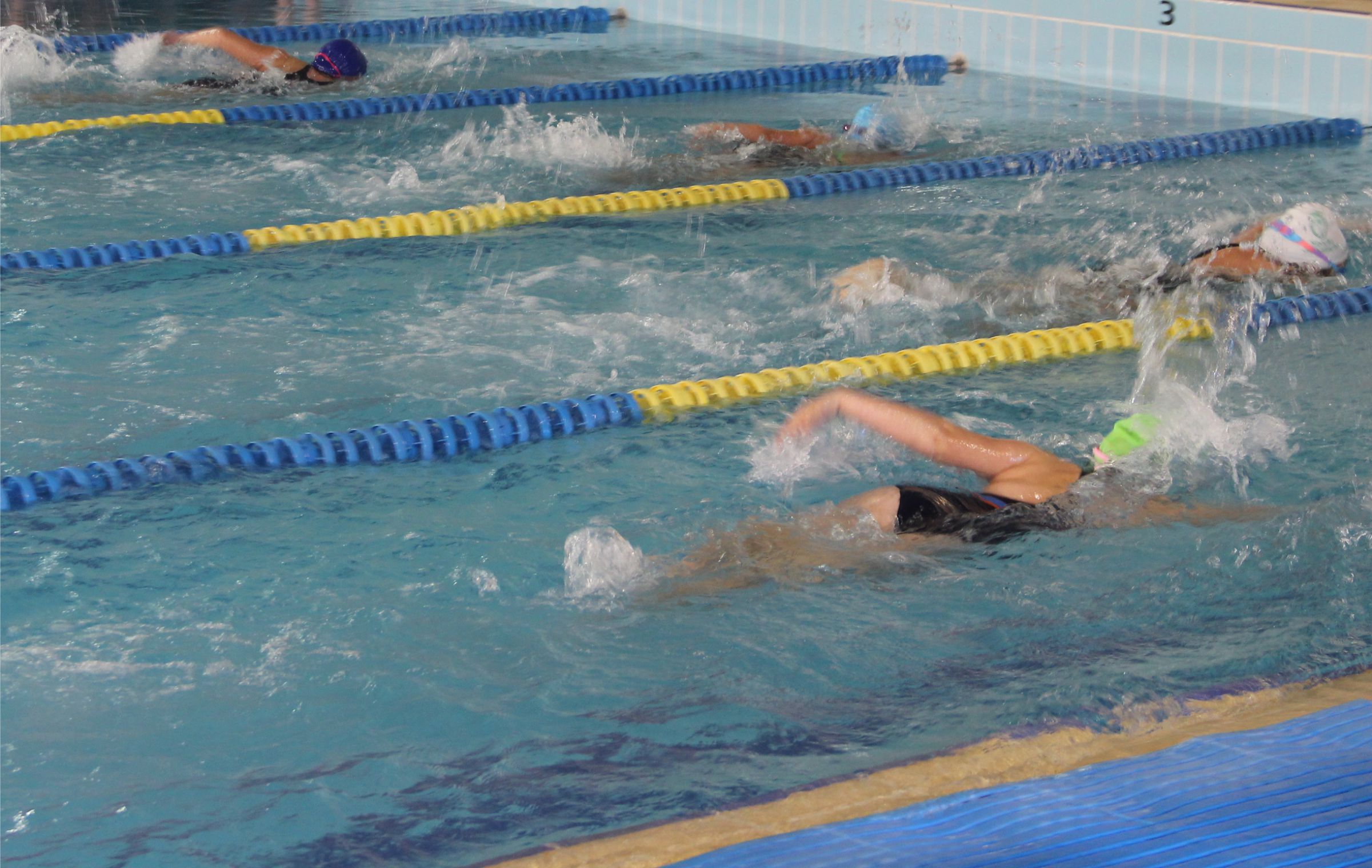 Proen A A Nova Aulas De Nata O Na Piscina Municipal Voltam Ao Activo