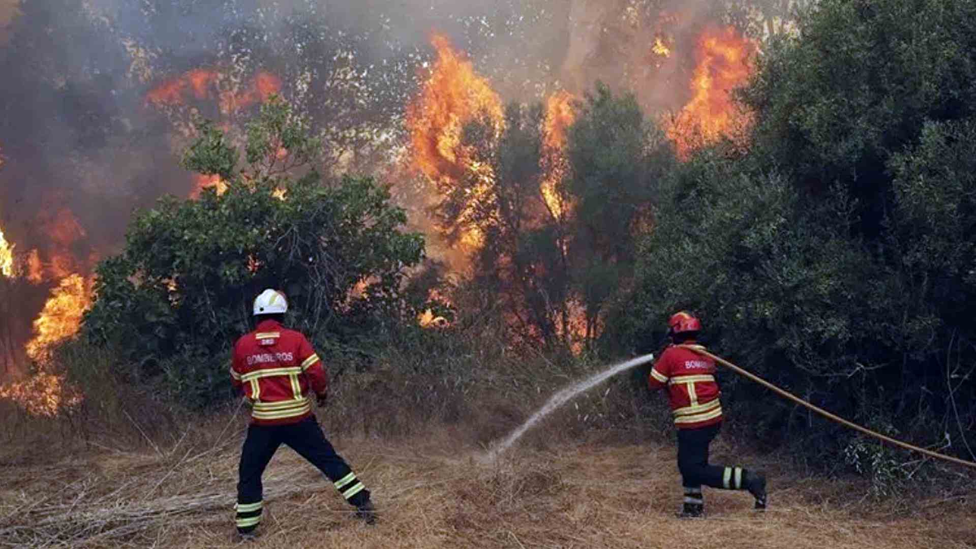 Почему много пожаров