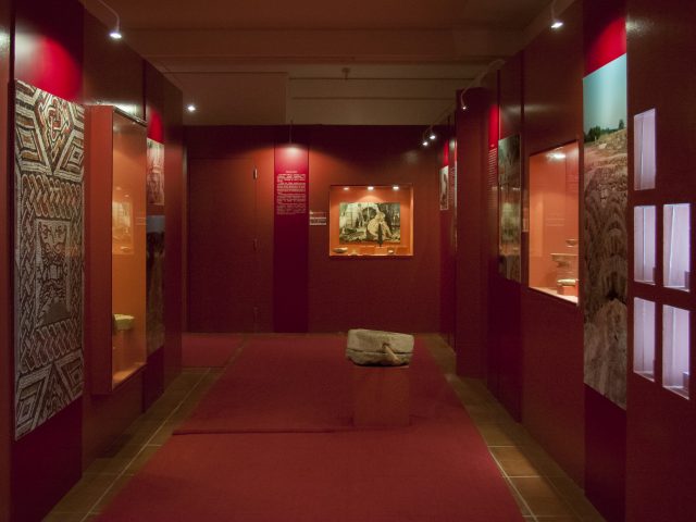 Museu Municipal Carlos Reis