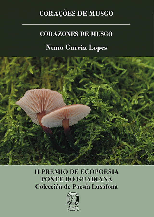 Tomar – El nuevo libro de Tomar escrito por Nuno García López se publicó en España el 6 de abril